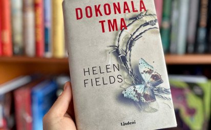 Keď sa zločin skrýva v tieni medzi Škótskom a Francúzskom. Krimi Dokonalá tma