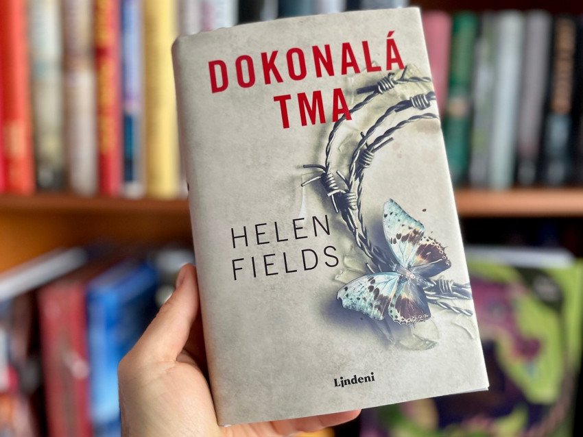 Keď sa zločin skrýva v tieni medzi Škótskom a Francúzskom. Krimi Dokonalá tma Keď sa zločin skrýva v tieni medzi Škótskom a Francúzskom. Krimi Dokonalá tma