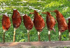 Zemplínske lakocinky-kaporpostarom