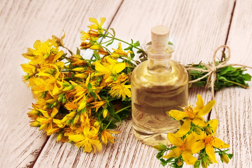 Sila skrytá v ľubovníkovom oleji - zistite, prečo ho ľudia používajú už stáročia