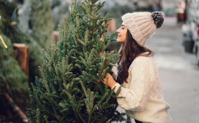 5 spôsobov, ako zrecyklovať živý stromček alebo vetvičky po Vianociach