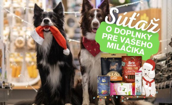 Pomôžte opusteným zvieratám: Štartuje zbierka Vianočný stromček splnených želaní