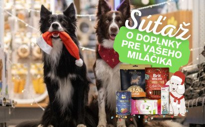 Pomôžte opusteným zvieratám: Štartuje zbierka Vianočný stromček splnených želaní