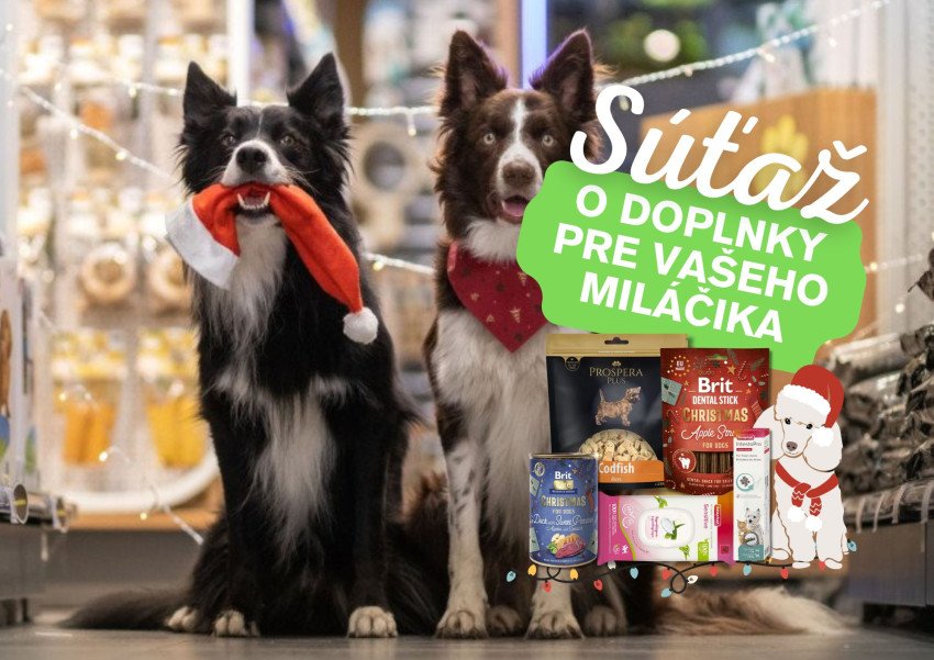 Pomôžte opusteným zvieratám: Štartuje zbierka Vianočný stromček splnených želaní