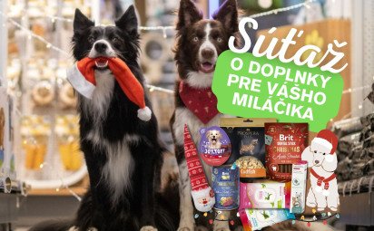 Pomôžte opusteným zvieratám: Štartuje zbierka Vianočný stromček splnených želaní