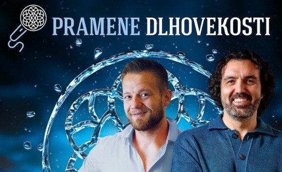 Ako na pohodové Vianoce? Nezabúdajte na základy princípov dlhovekosti