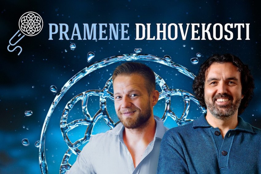 Ako na pohodové Vianoce? Nezabúdajte na základy princípov dlhovekosti