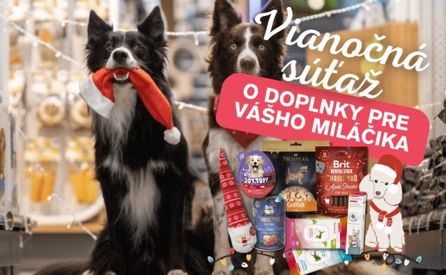 Pomôžte opusteným zvieratám: Štartuje zbierka Vianočný stromček splnených želaní