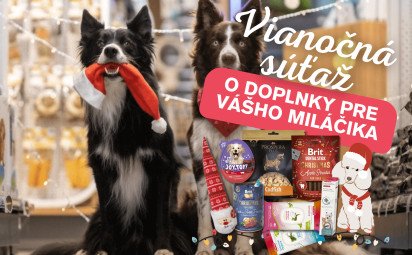 Pomôžte opusteným zvieratám: Štartuje zbierka Vianočný stromček splnených želaní