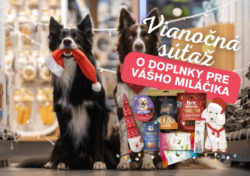 Pomôžte opusteným zvieratám: Štartuje zbierka Vianočný stromček splnených želaní