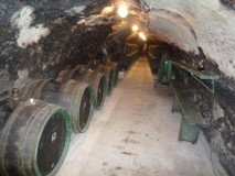 tokajskepivnice-vinkozreje