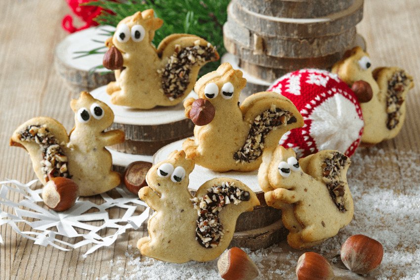 Veselé orieškové veveričky