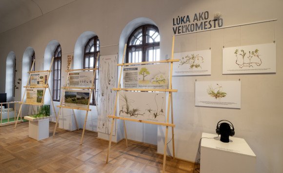 Nová výstava na Budatínskom hrade