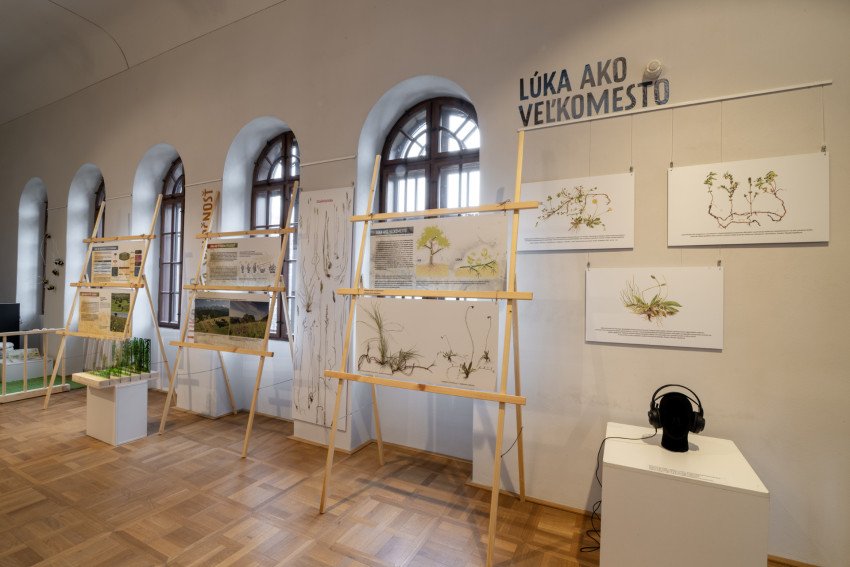 Nová výstava na Budatínskom hrade