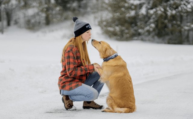 Ako si so psom splniť novoročné predsavzatia pre aktívnejší život