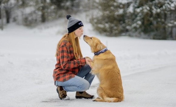 Ako si so psom splniť novoročné predsavzatia pre aktívnejší život