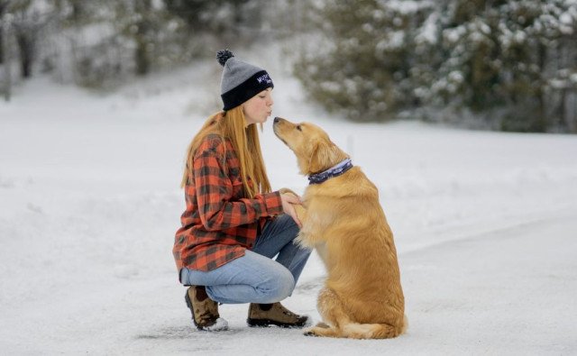 Ako si so psom splniť novoročné predsavzatia pre aktívnejší život