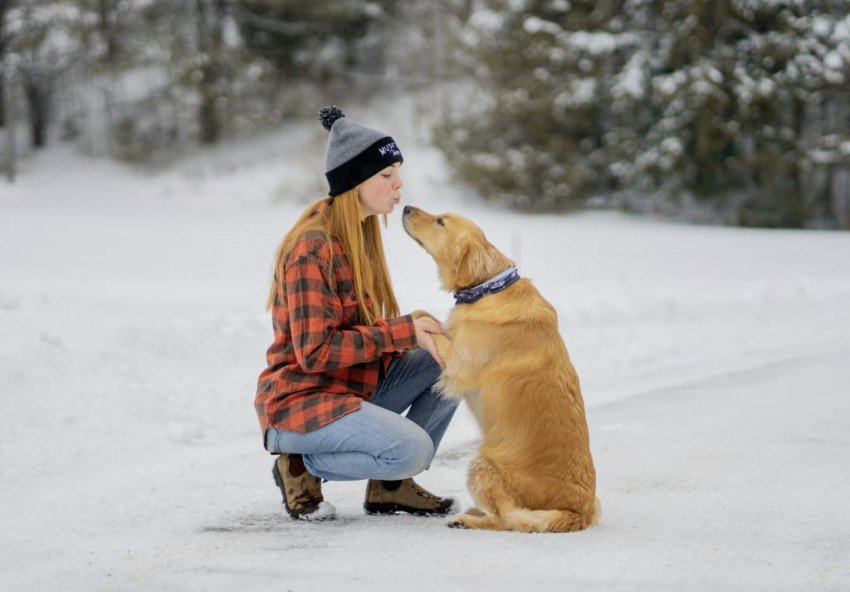 Ako si so psom splniť novoročné predsavzatia pre aktívnejší život
