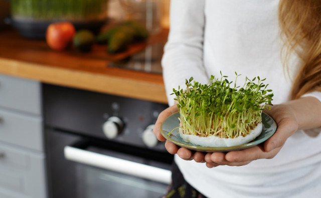 Klíčky a microgreens: Malé rastliny s veľkou silou pre zdravie
