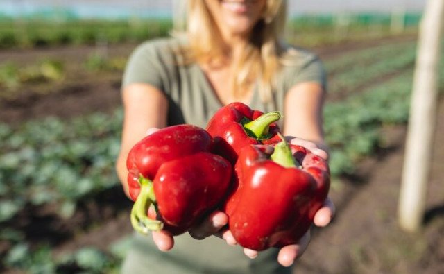 Vitamín C zo záhradky: Prírodná sila ukrytá v domácej úrode