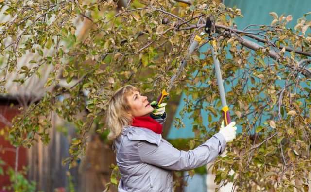 Záhrada po zime – čo upratať a ako ju pripraviť na jar