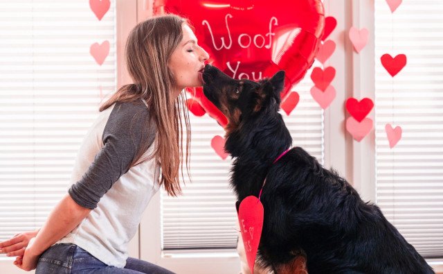 Láska má štyri labky. Ako prežiť Valentína s domácim miláčikom