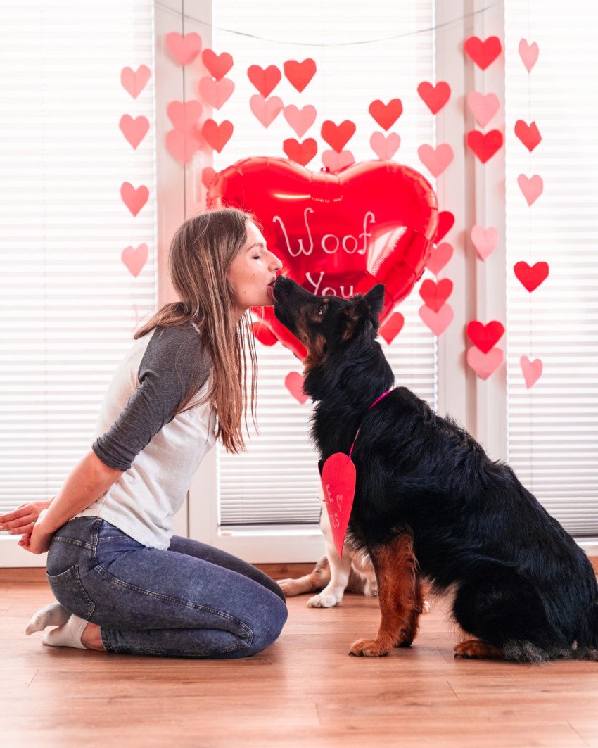 Láska má štyri labky. Ako prežiť Valentína s domácim miláčikom