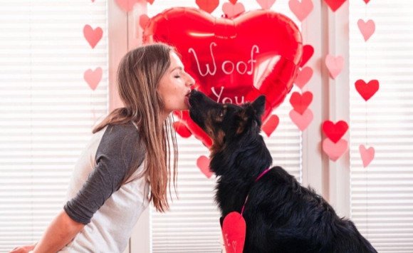 Láska má štyri labky. Ako prežiť Valentína s domácim miláčikom