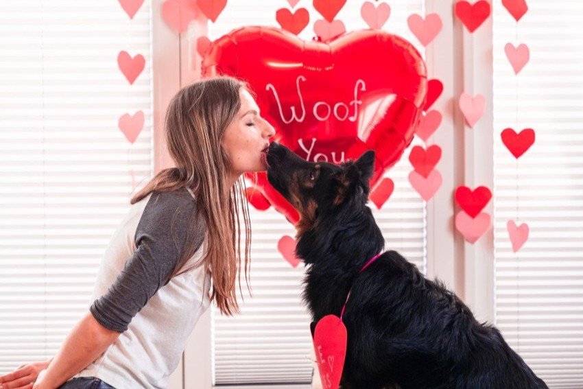Láska má štyri labky. Ako prežiť Valentína s domácim miláčikom
