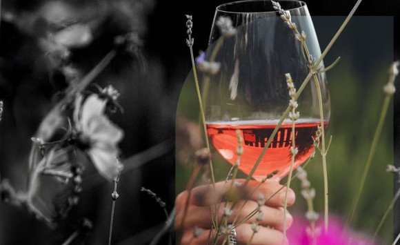 Vinári z Andau pozývajú na Jarný festival vína