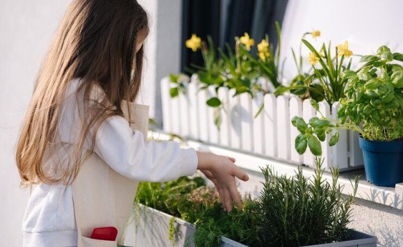 Pestovanie byliniek na balkóne či okennom parapete: Využite silu jarného slnka