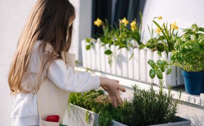 Pestovanie byliniek na balkóne či okennom parapete: Využite silu jarného slnka