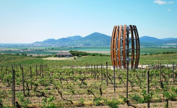 Ako chutí mladé víno z Tokaja? Príďte okoštovať