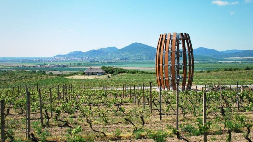 Ako chutí mladé víno z Tokaja? Príďte okoštovať