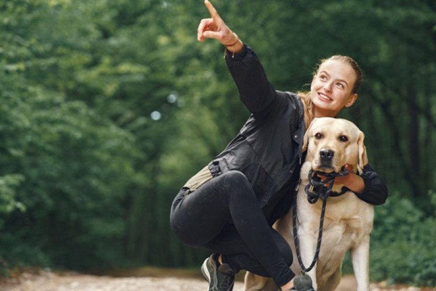 Žijú majitelia psov dlhšie? Čo hovoria vedci?