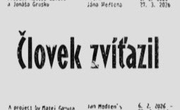 Flash Art - výstavy a podujatia