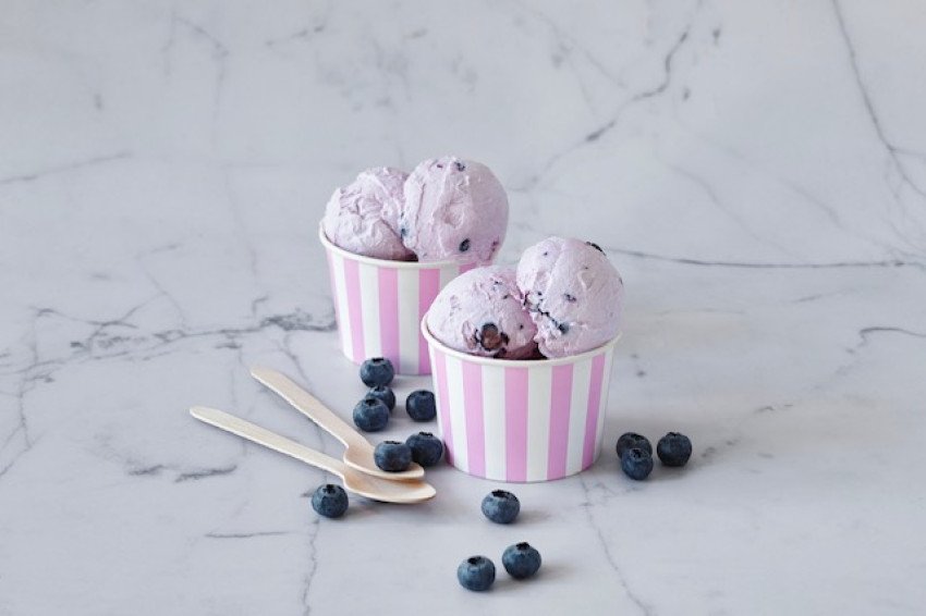 Čučoriedkovo-smotanová zmrzlina