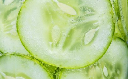 Letná zelenina, ktorá ochladí organizmus: Čo jesť počas horúčav