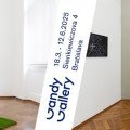 Flash Art - výstavy a podujatia
