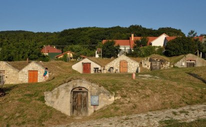 Tokajský región pripravuje sériu letných vinárskych podujatí