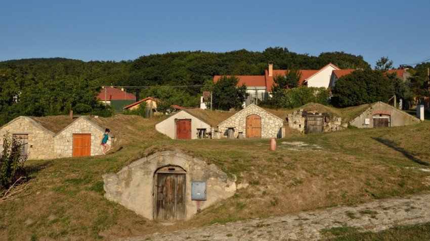 Tokajský región pripravuje sériu letných vinárskych podujatí