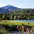 Tropické horúčavy udreli plnou silou aj na severovýchod Slovenska