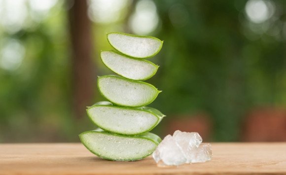 Aloe vera v domácnosti: Kedy môže byť užitočná a kedy radšej siahnuť po inom riešení