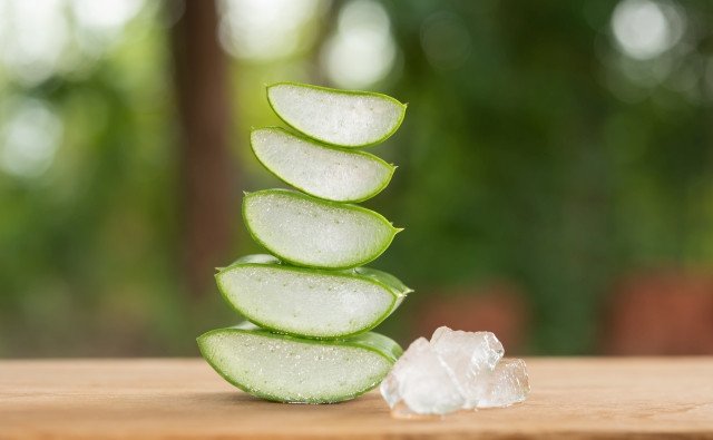 Aloe vera v domácnosti: Kedy môže byť užitočná a kedy radšej siahnuť po inom riešení