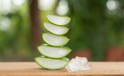Aloe vera v domácnosti: Kedy môže byť užitočná a kedy radšej siahnuť po inom riešení