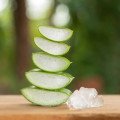 Aloe vera v domácnosti: Kedy môže byť užitočná a kedy radšej siahnuť po inom riešení