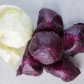 Kapusta pre zdravie - prečo si ju dopriať nielen na jeseň
