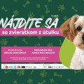 Útulky z celého Slovenska mieria do Bratislavy!