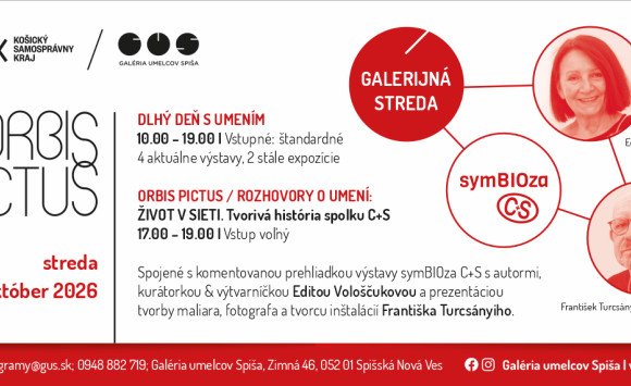 Orbis Pictus / Rozhovory o umení: Život v sieti