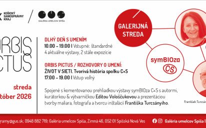 Orbis Pictus / Rozhovory o umení: Život v sieti